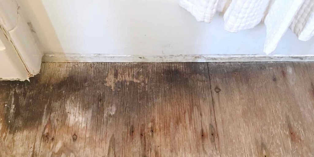 Fix my leaking shower