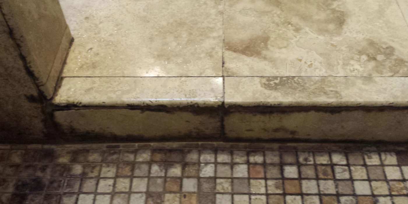 Why Do I Need My Shower Sealed