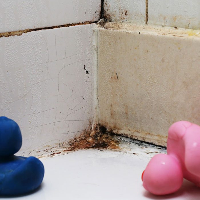 How-much-damage-can-a-leaking-shower-cause How much damage can a leaking shower cause