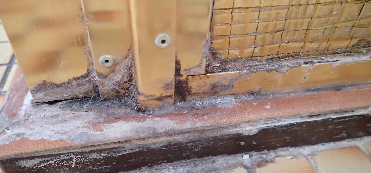 Why-Should-I-Waterproof-My-Shower Why Should I Waterproof My Shower