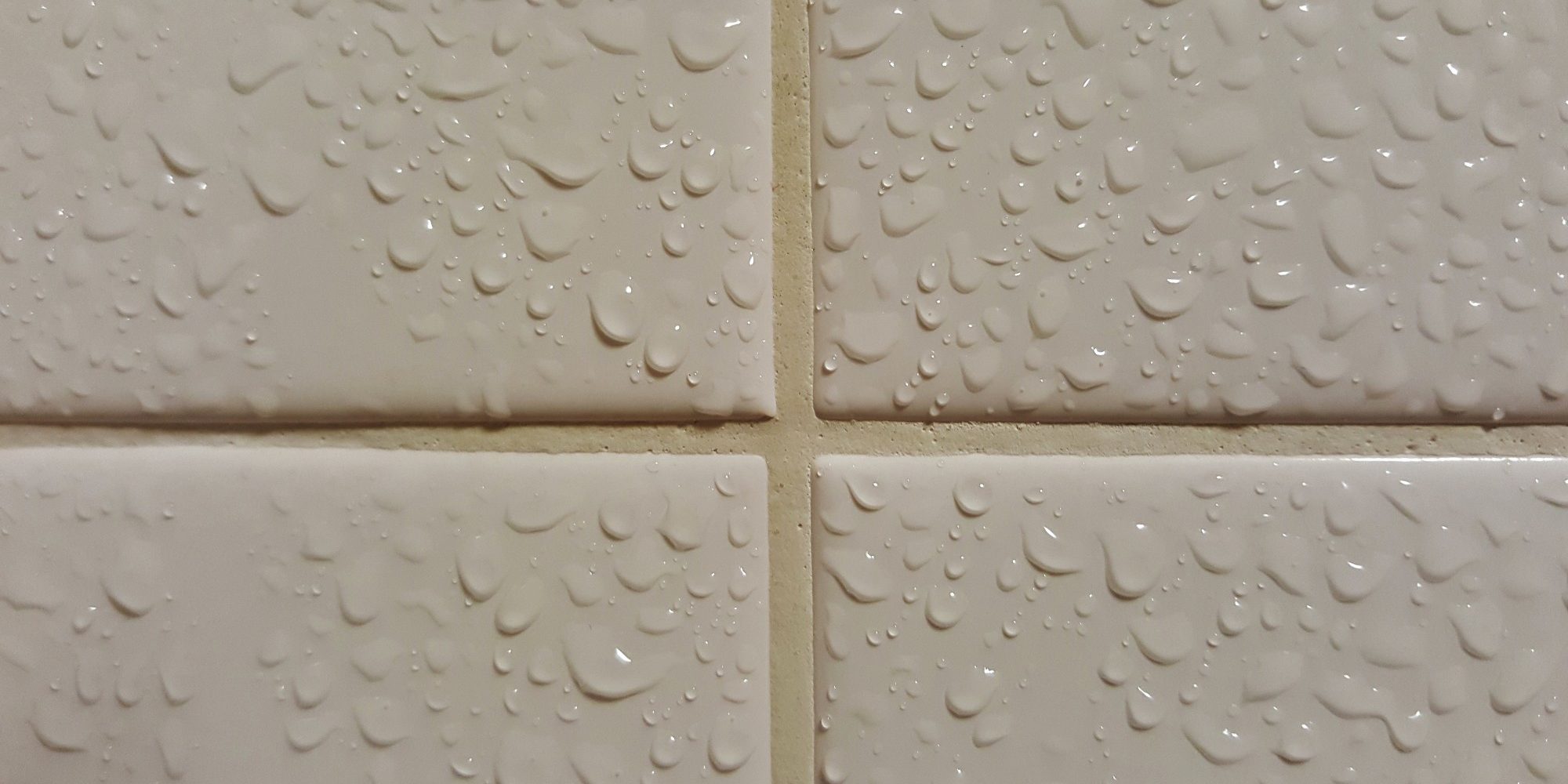 shower grout