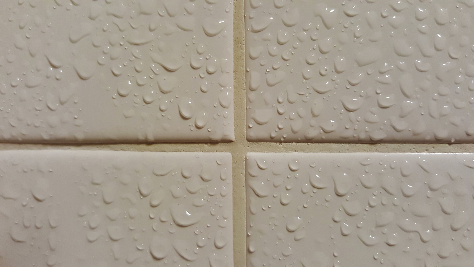shower grout