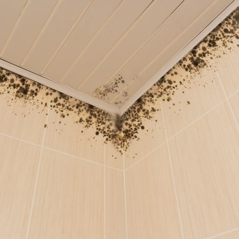 shower mould