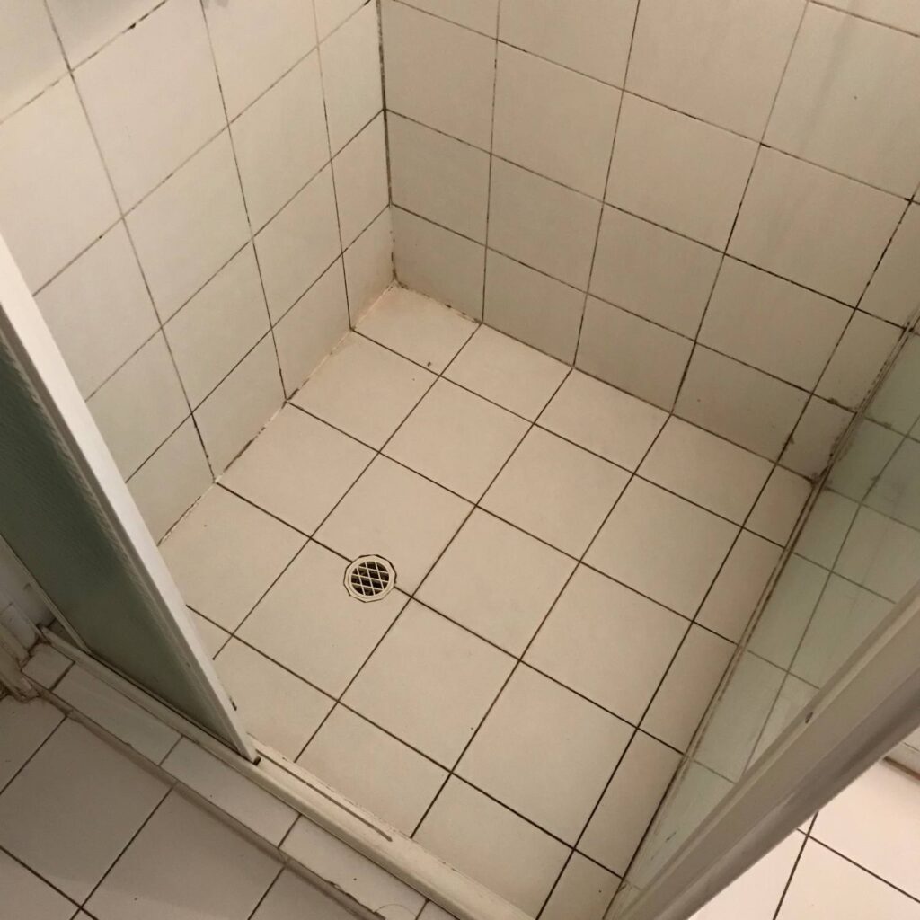 leaking shower mouldy deteriorated grout
