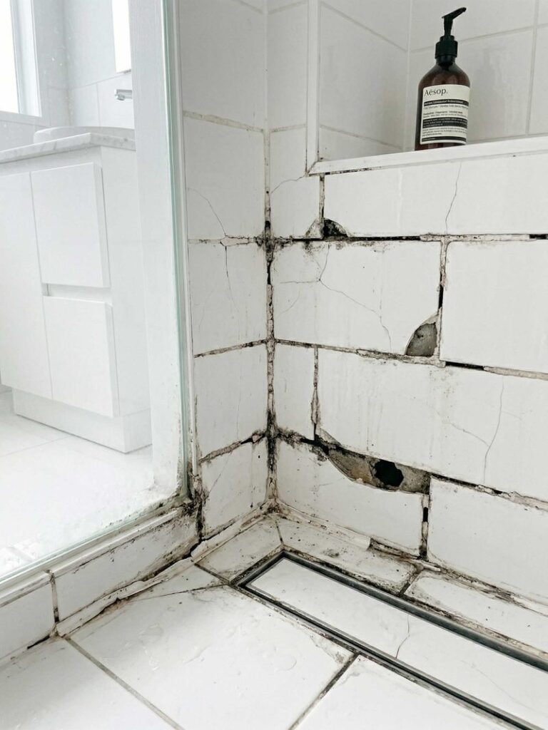 Shower repairs Algester