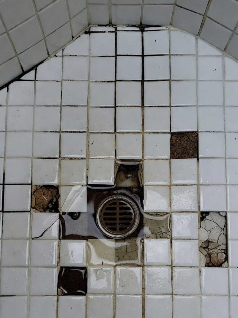 Shower repairs Bilinga