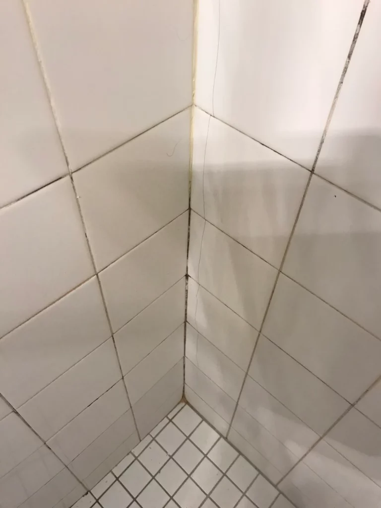 Shower Sealing Gold Coast